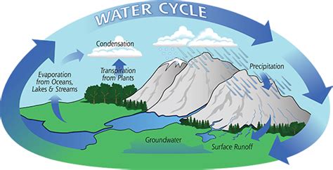 Which Two Processes Allow Water To Enter The Atmosphere