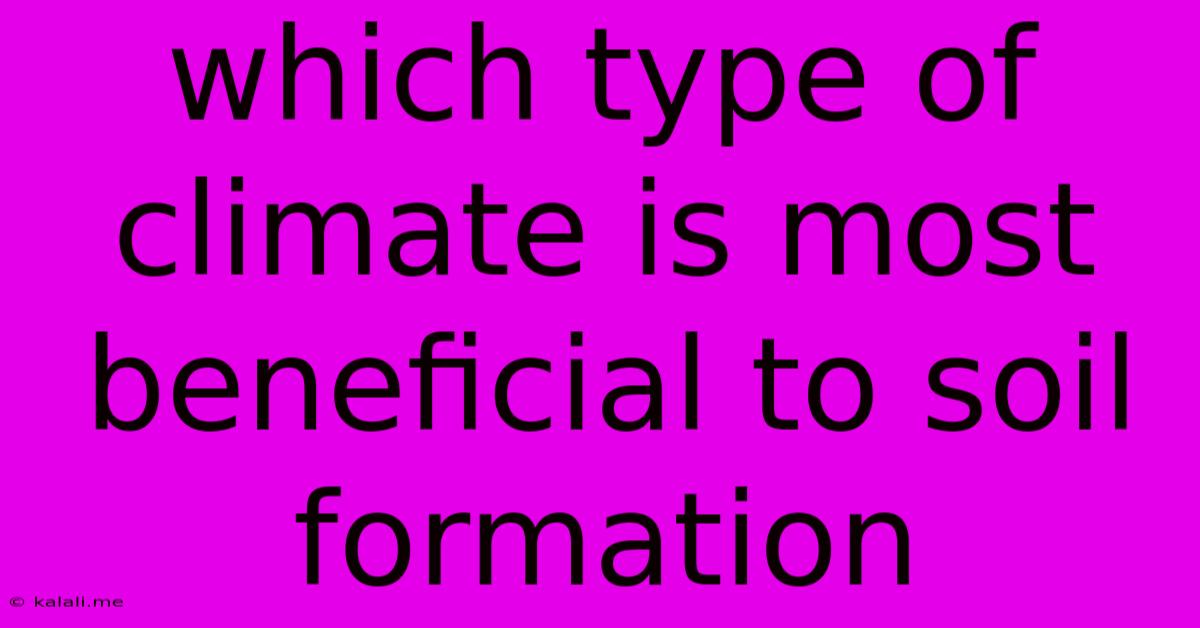 Which Type Of Climate Is Most Beneficial To Soil Formation