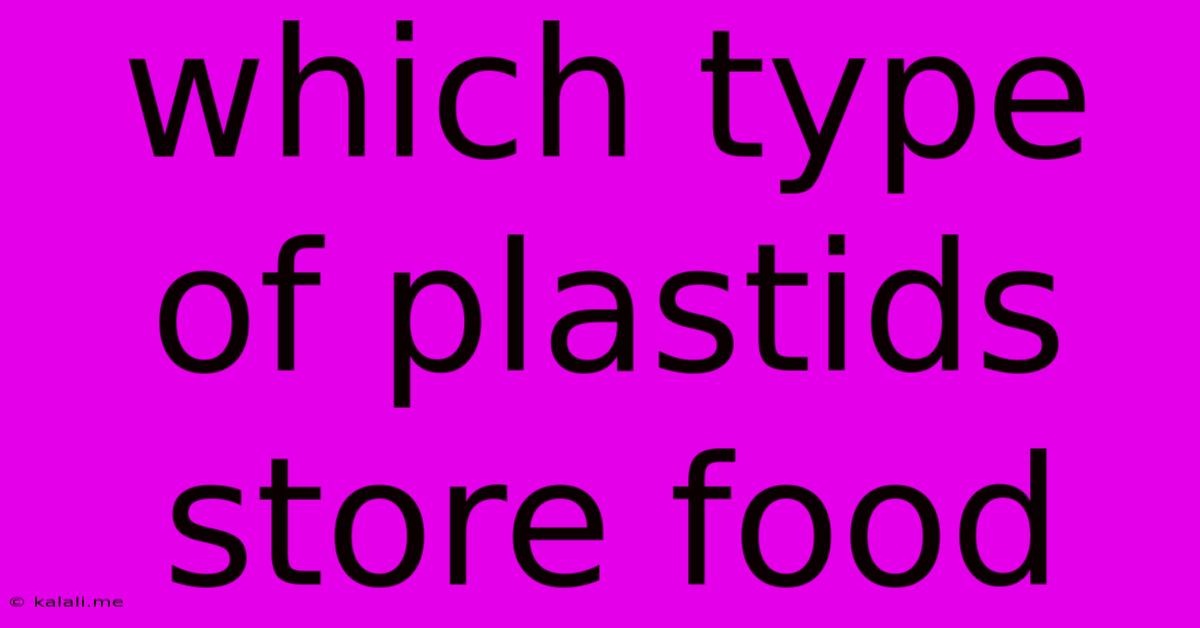 Which Type Of Plastids Store Food