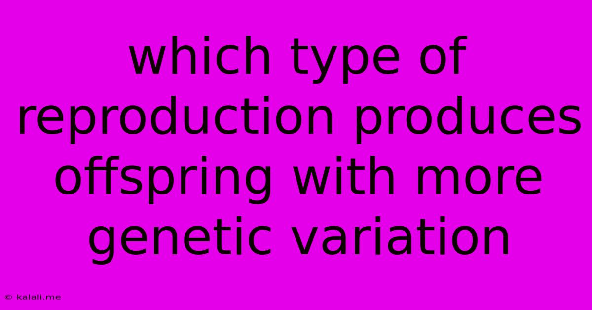 Which Type Of Reproduction Produces Offspring With More Genetic Variation