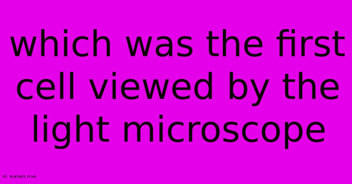 Which Was The First Cell Viewed By The Light Microscope