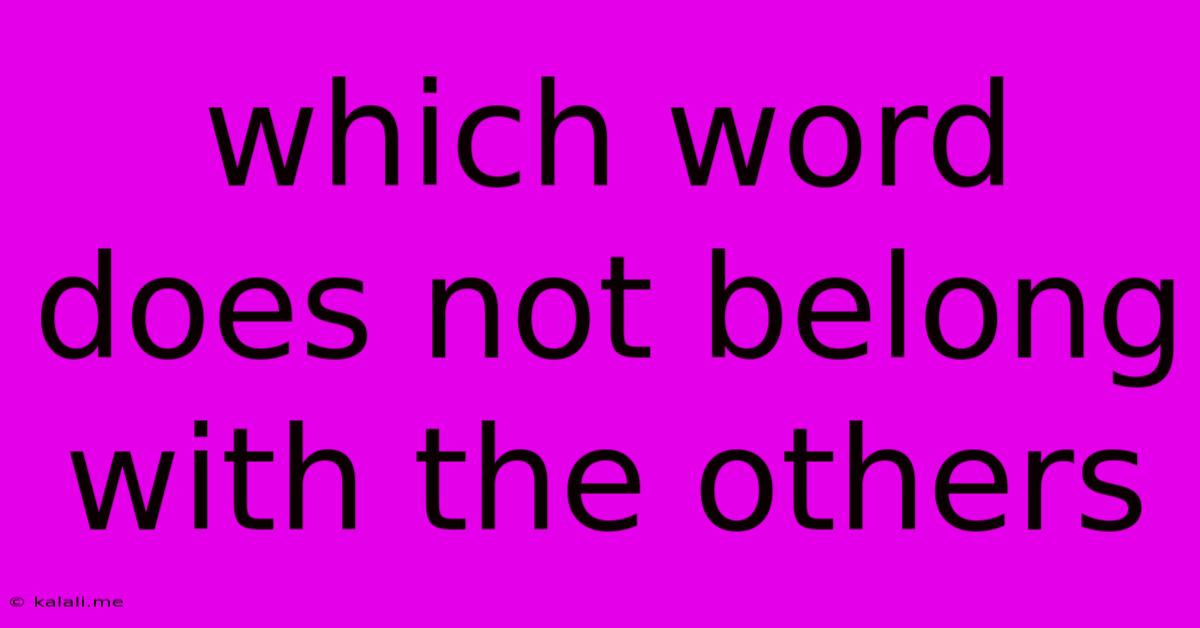 Which Word Does Not Belong With The Others