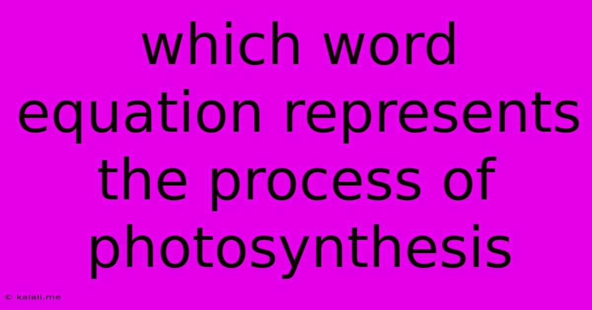 Which Word Equation Represents The Process Of Photosynthesis