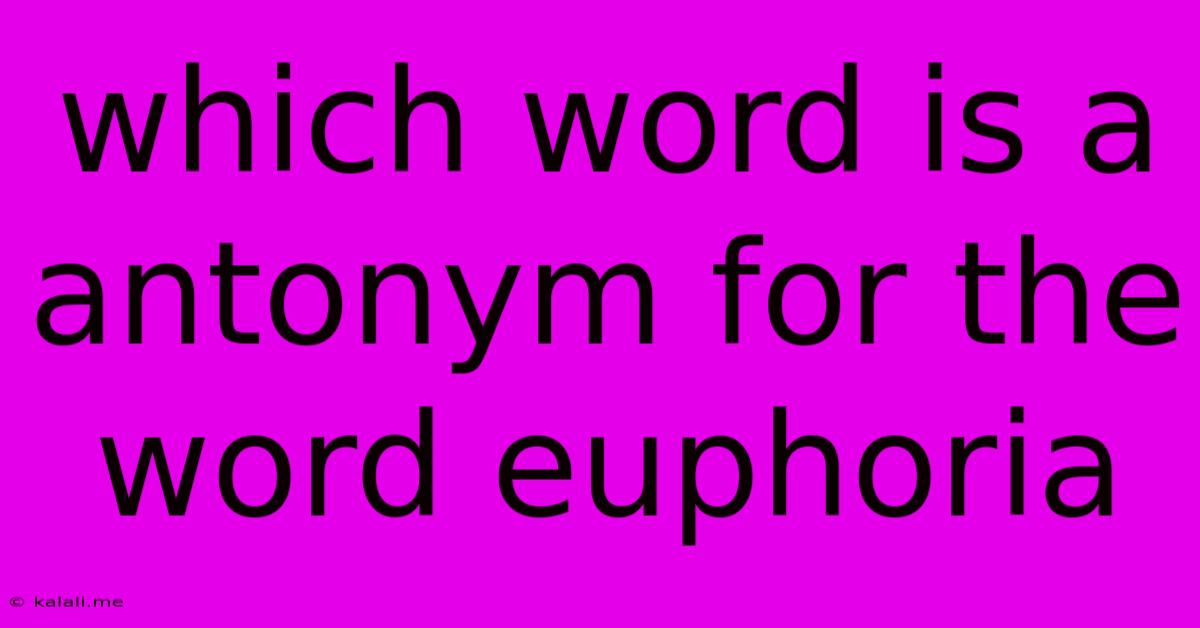 Which Word Is A Antonym For The Word Euphoria