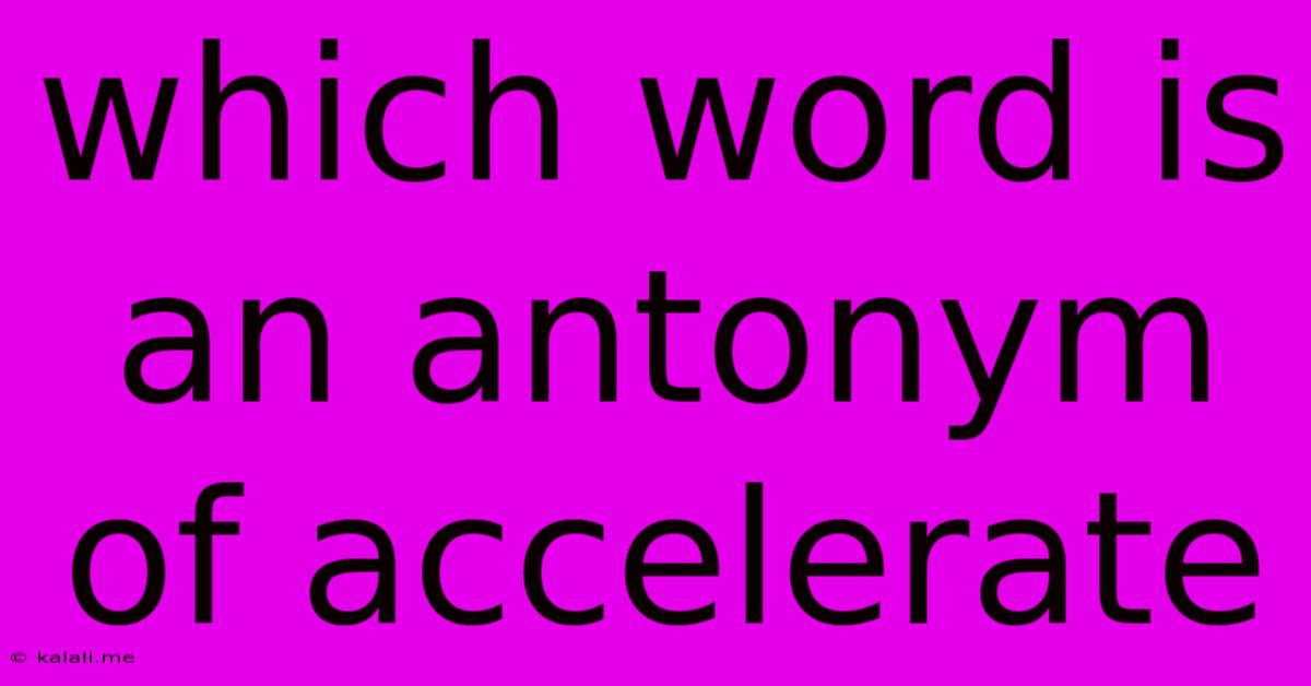 Which Word Is An Antonym Of Accelerate