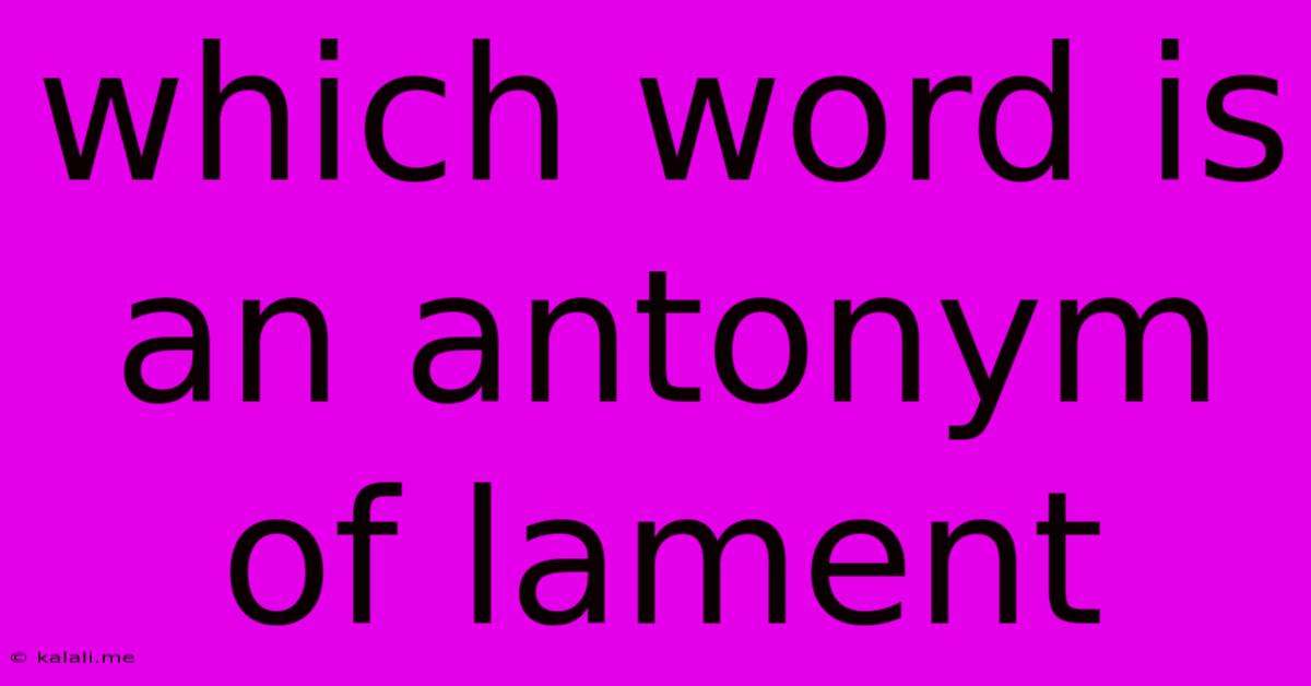 Which Word Is An Antonym Of Lament