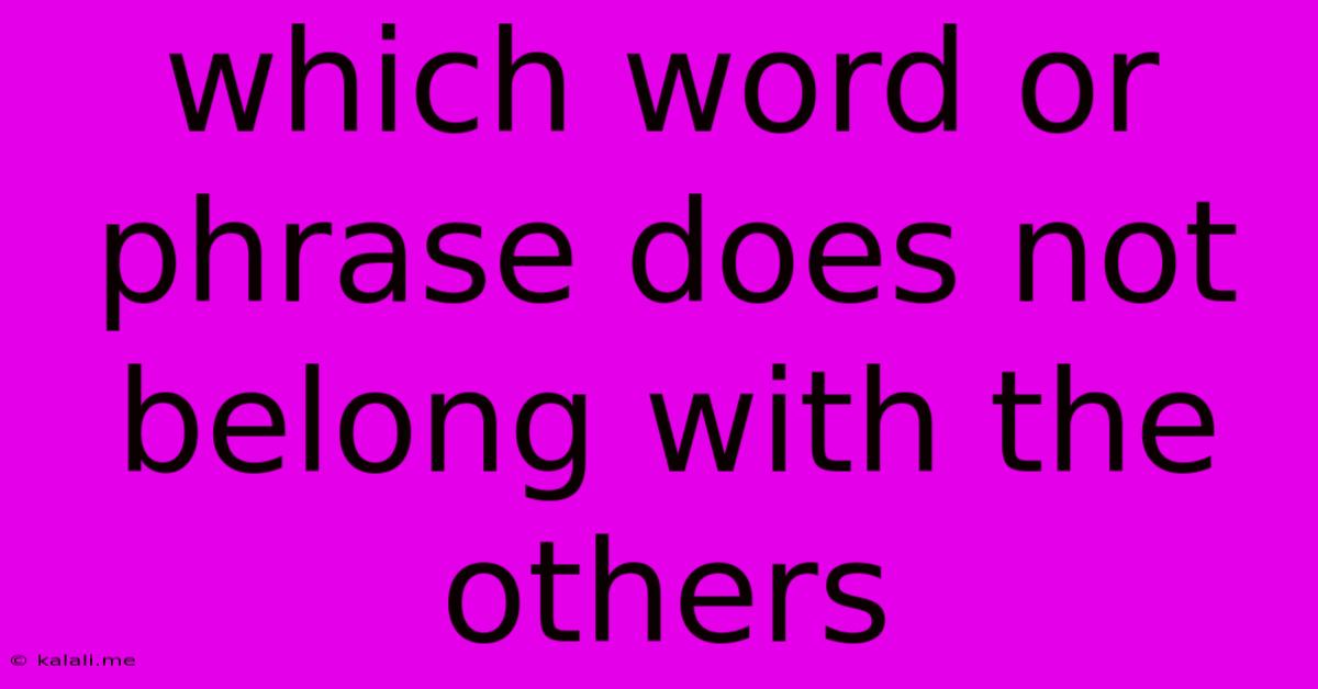 Which Word Or Phrase Does Not Belong With The Others