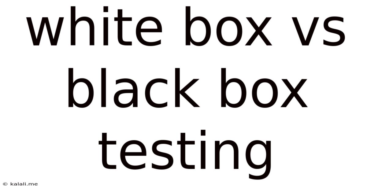White Box Vs Black Box Testing