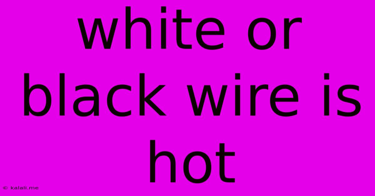 White Or Black Wire Is Hot