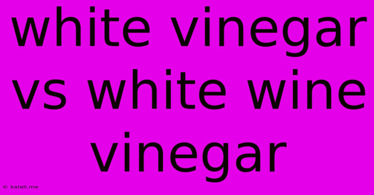 White Vinegar Vs White Wine Vinegar