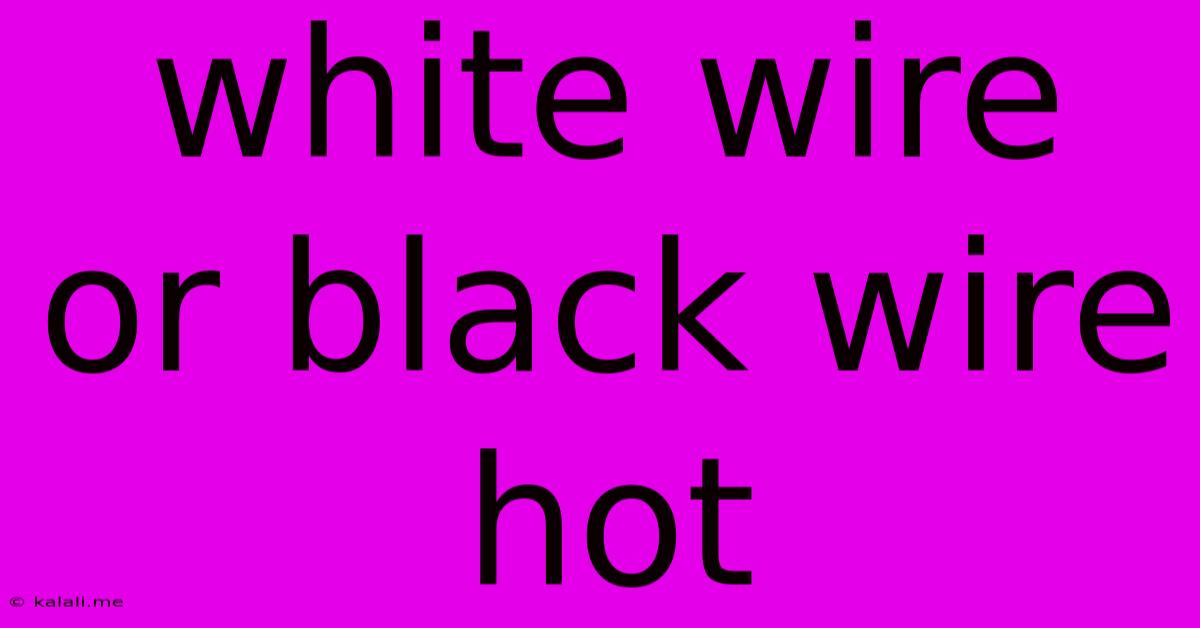 White Wire Or Black Wire Hot