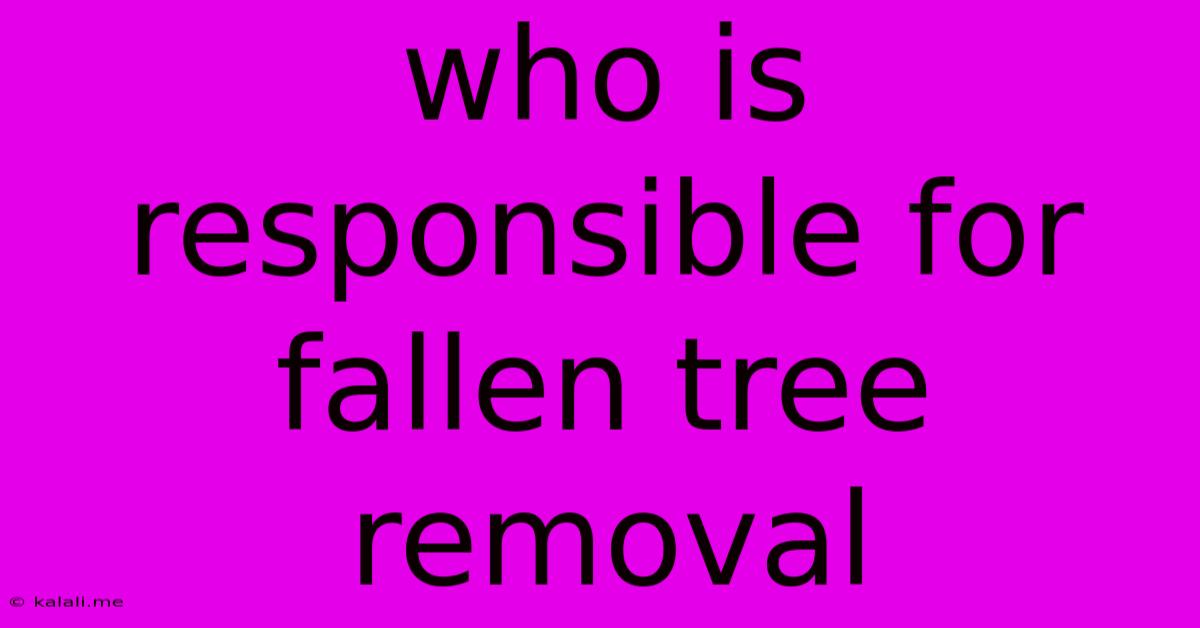 Who Is Responsible For Fallen Tree Removal
