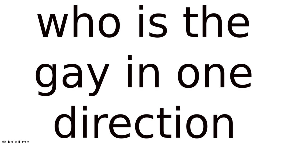Who Is The Gay In One Direction