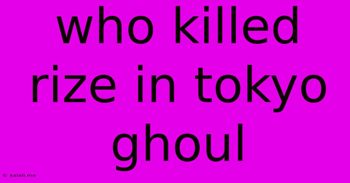 Who Killed Rize In Tokyo Ghoul