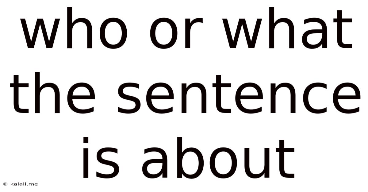 Who Or What The Sentence Is About