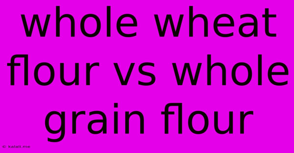 Whole Wheat Flour Vs Whole Grain Flour