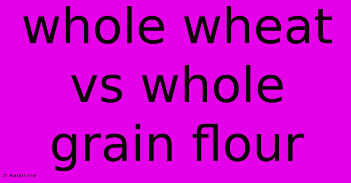 Whole Wheat Vs Whole Grain Flour