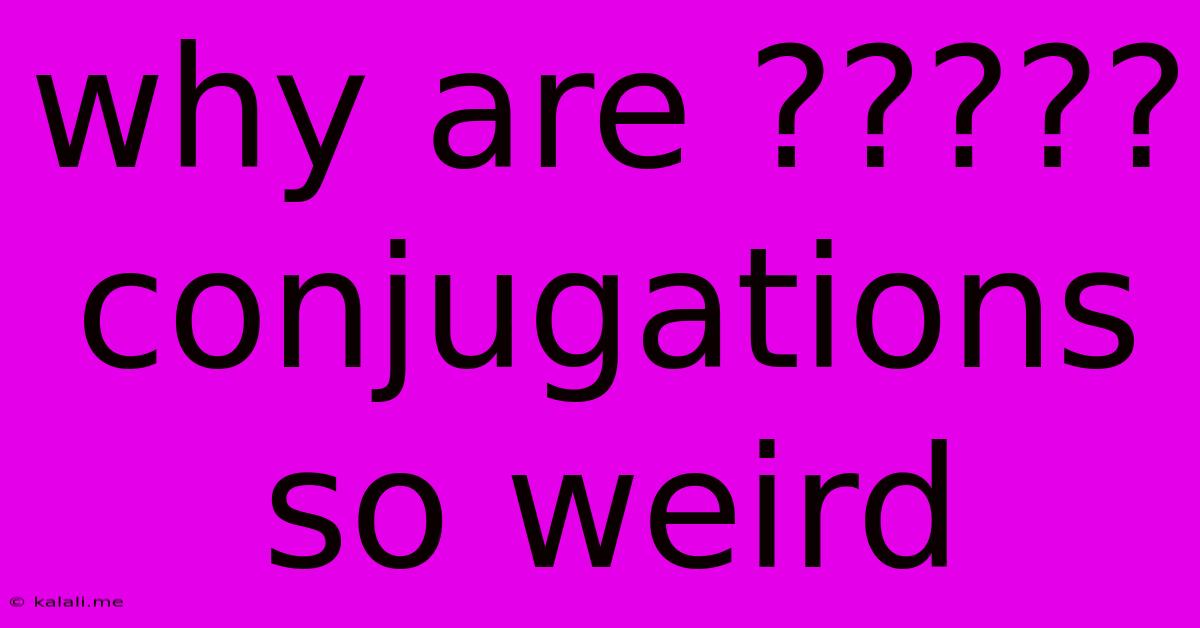Why Are ????? Conjugations So Weird