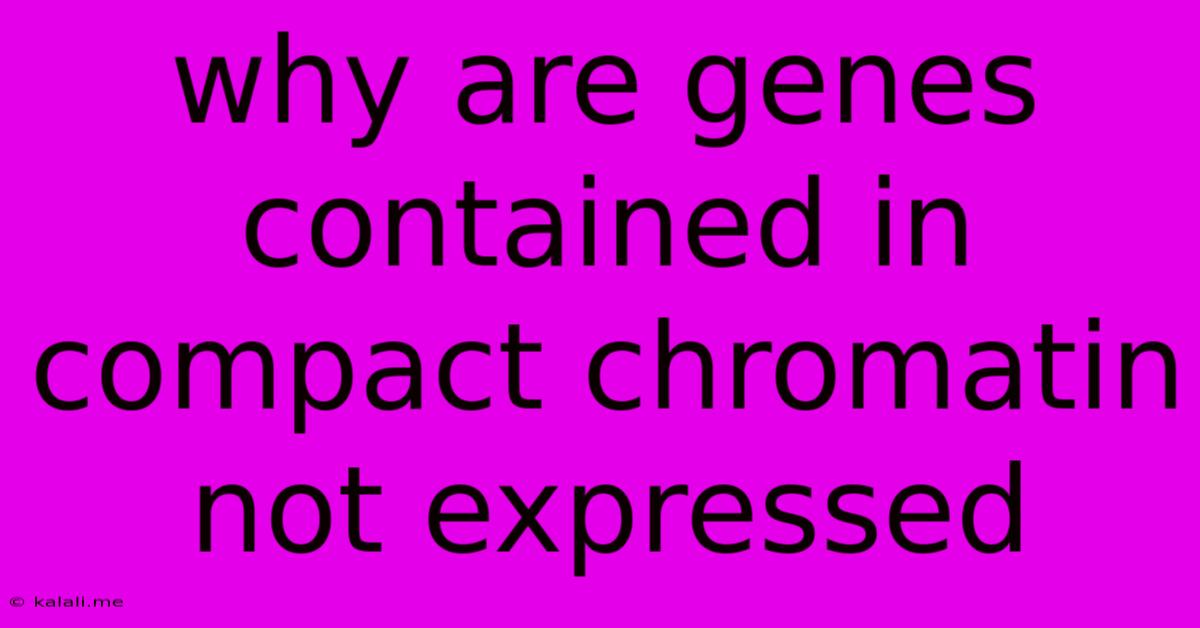 Why Are Genes Contained In Compact Chromatin Not Expressed
