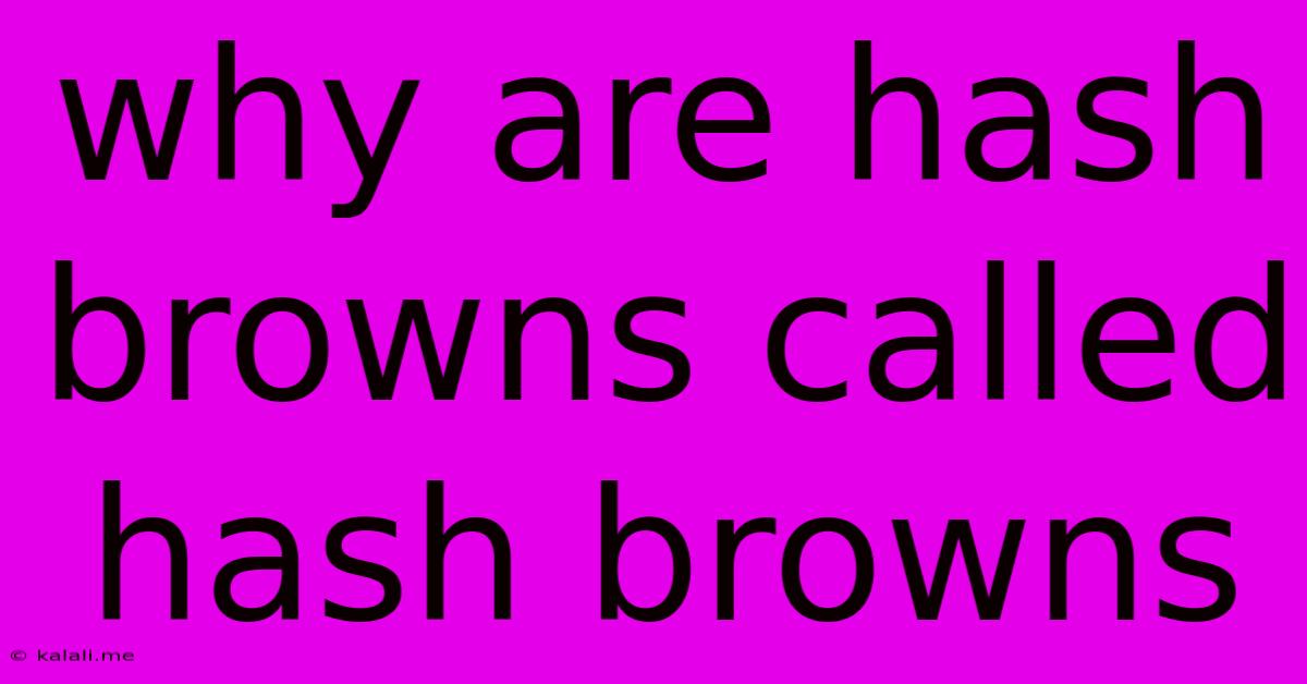 Why Are Hash Browns Called Hash Browns