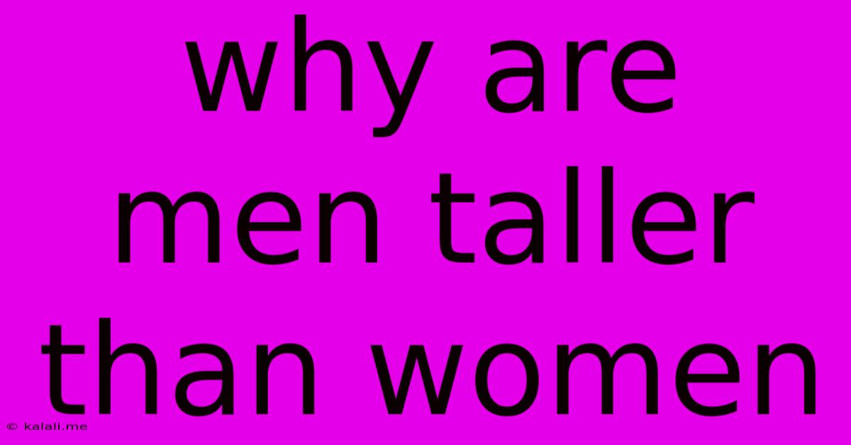 Why Are Men Taller Than Women