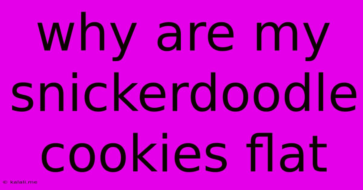 Why Are My Snickerdoodle Cookies Flat