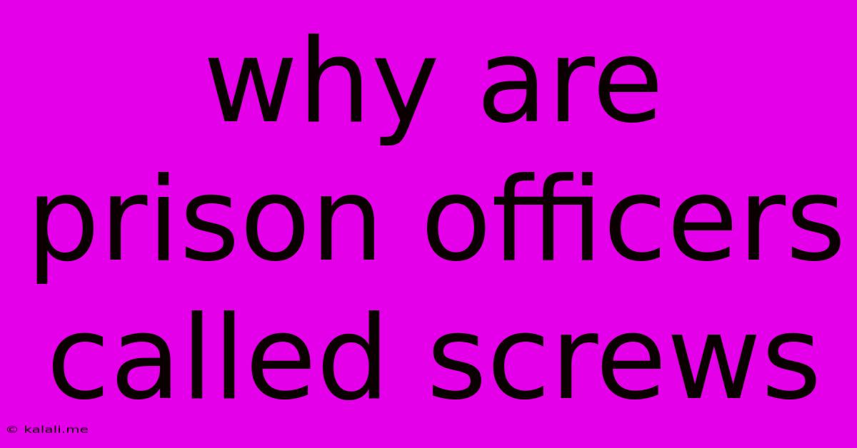 Why Are Prison Officers Called Screws