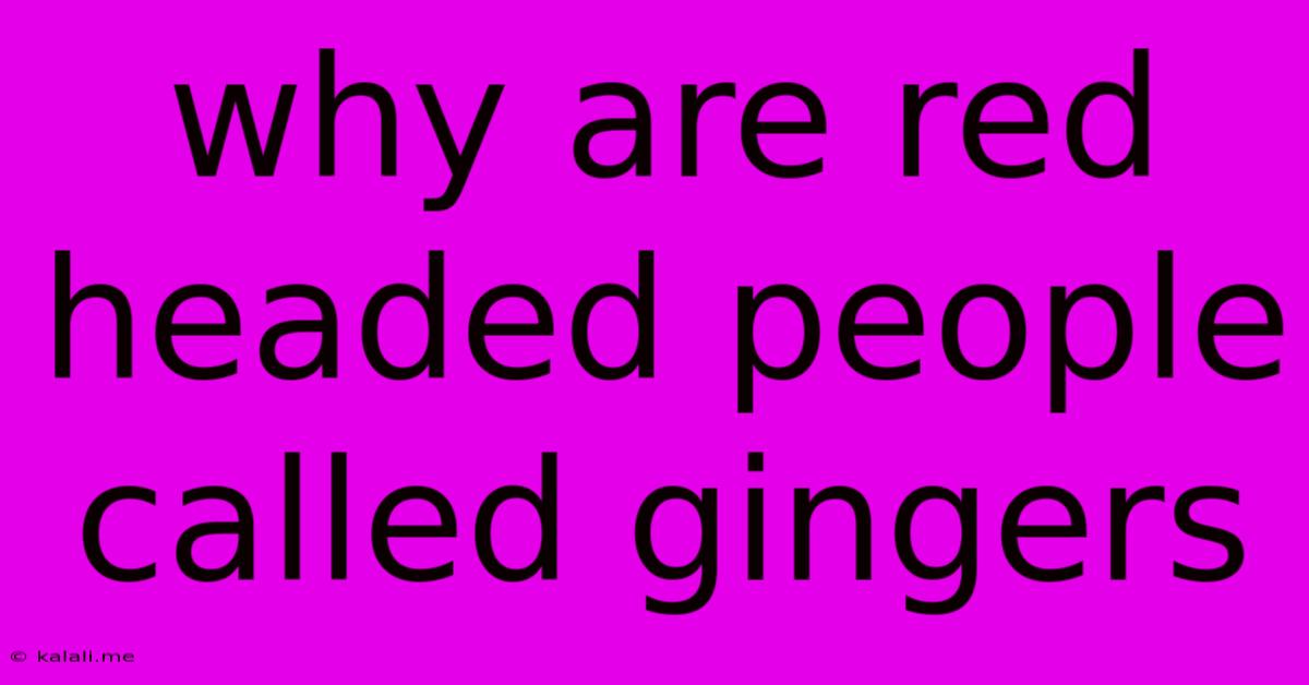 Why Are Red Headed People Called Gingers