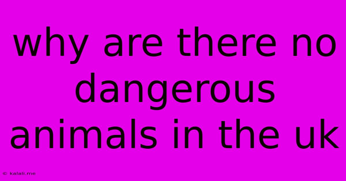 Why Are There No Dangerous Animals In The Uk
