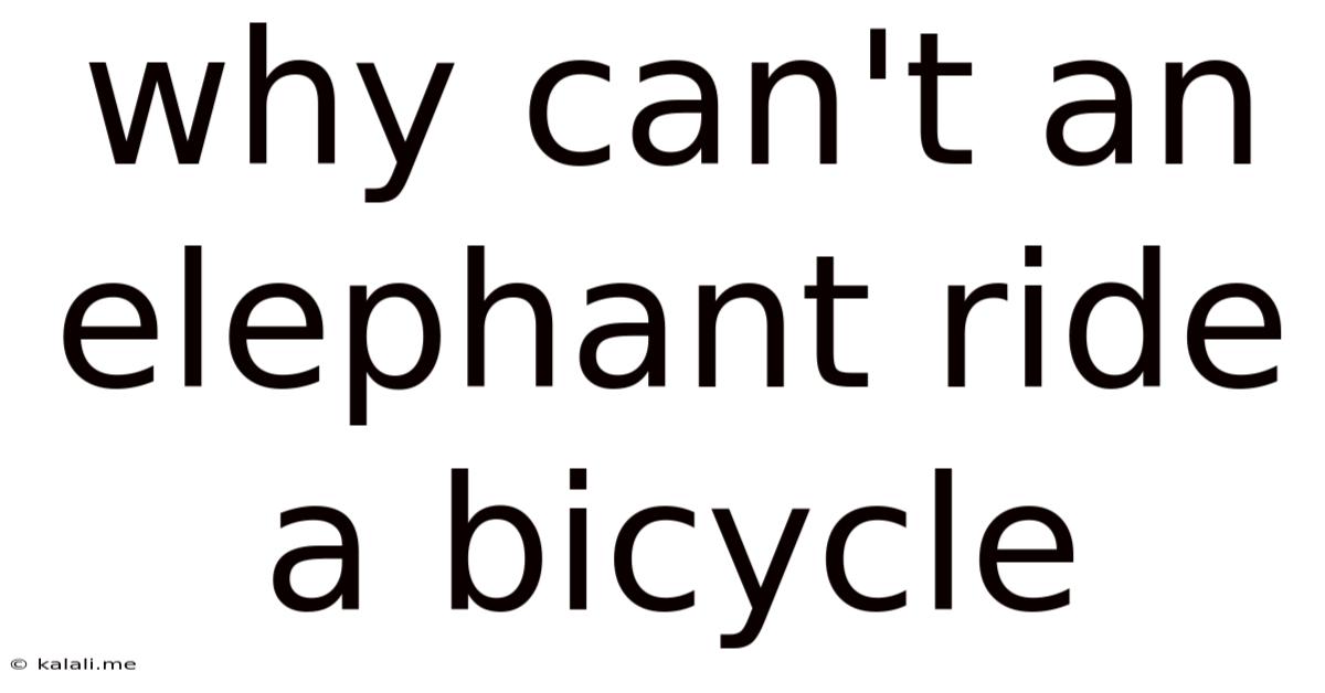 Why Can't An Elephant Ride A Bicycle