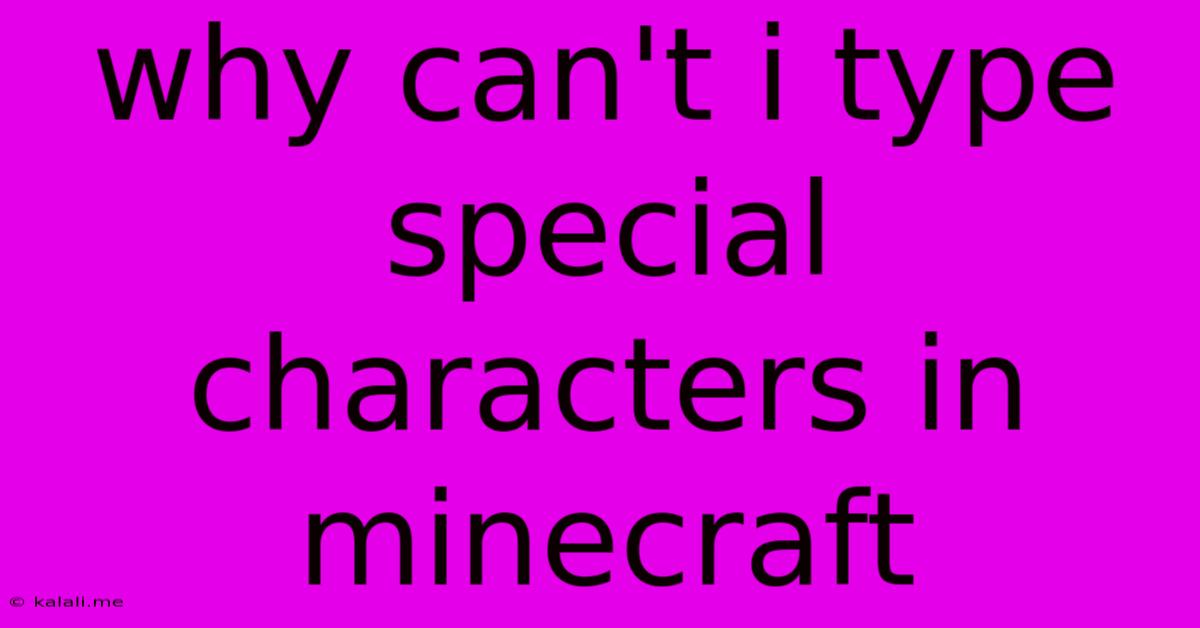 Why Can't I Type Special Characters In Minecraft
