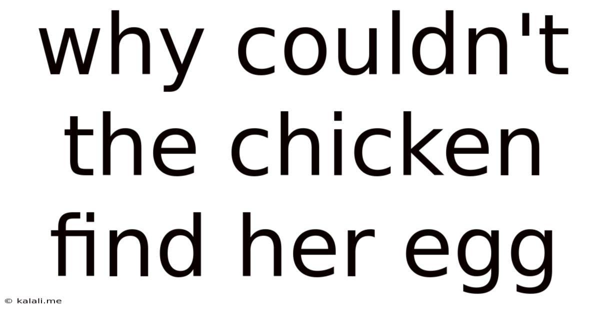 Why Couldn't The Chicken Find Her Egg