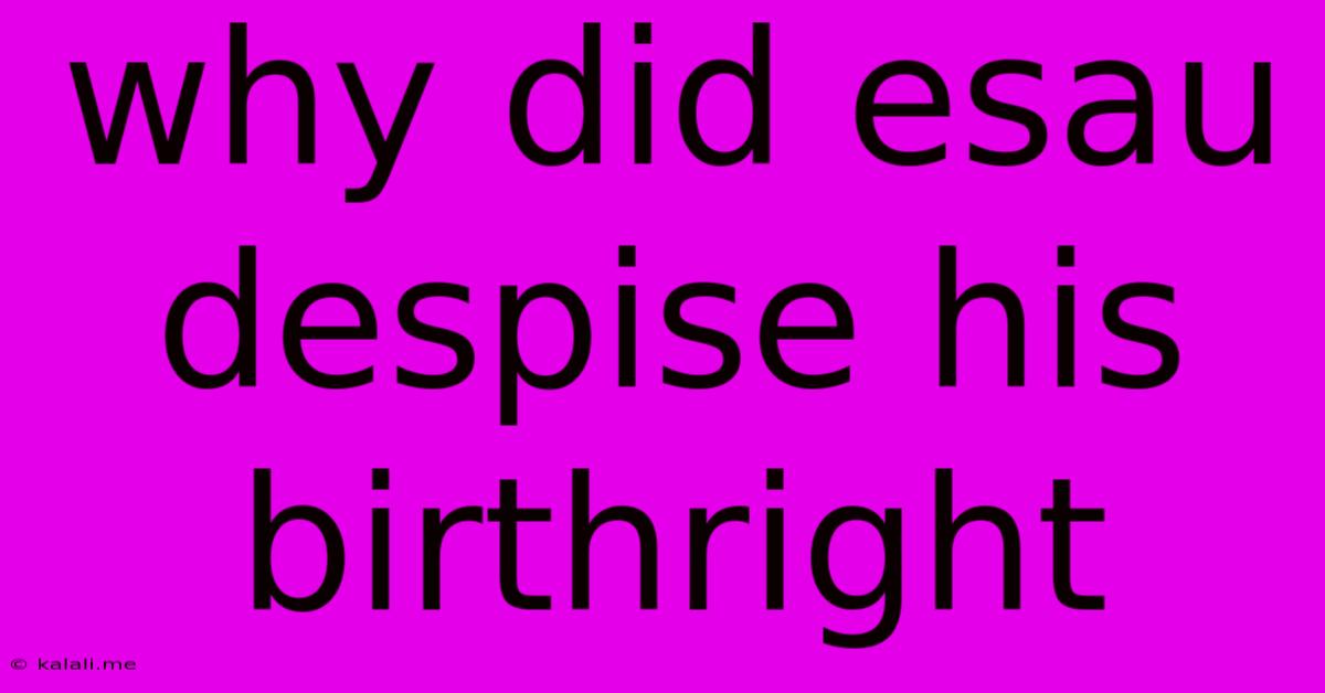 Why Did Esau Despise His Birthright