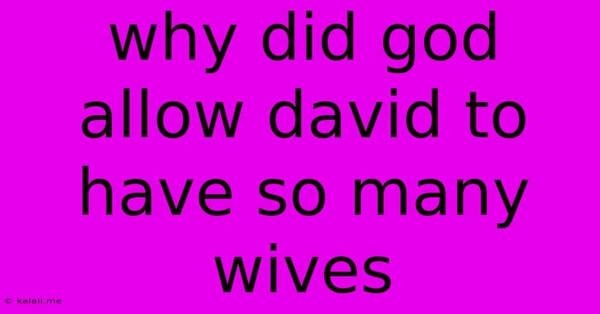 Why Did God Allow David To Have So Many Wives