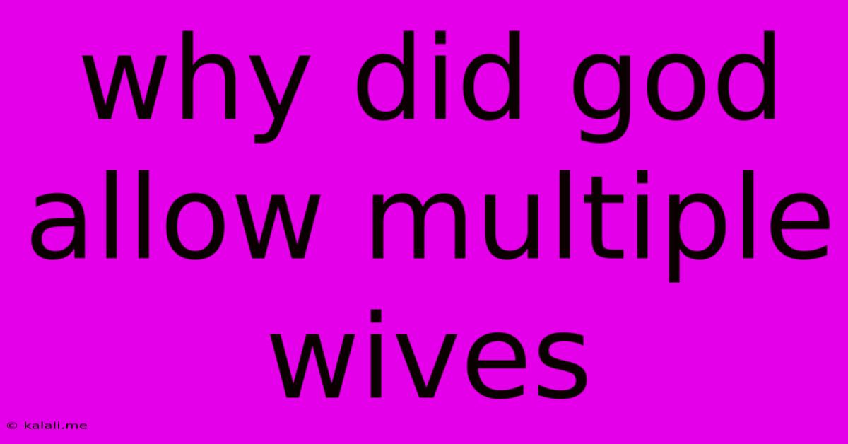 Why Did God Allow Multiple Wives