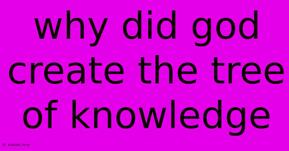 Why Did God Create The Tree Of Knowledge
