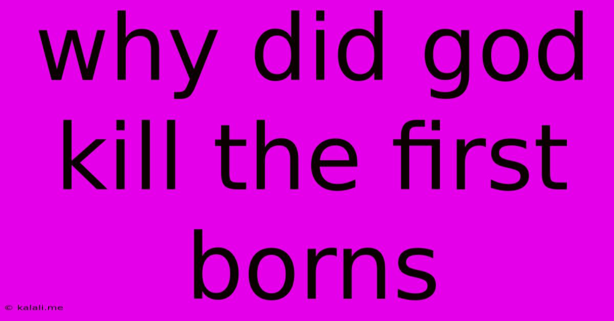 Why Did God Kill The First Borns