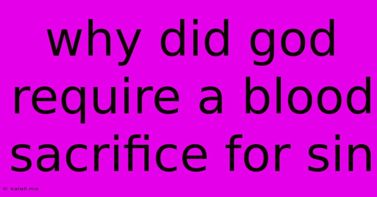 Why Did God Require A Blood Sacrifice For Sin
