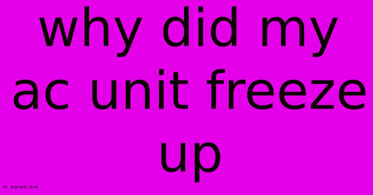 Why Did My Ac Unit Freeze Up