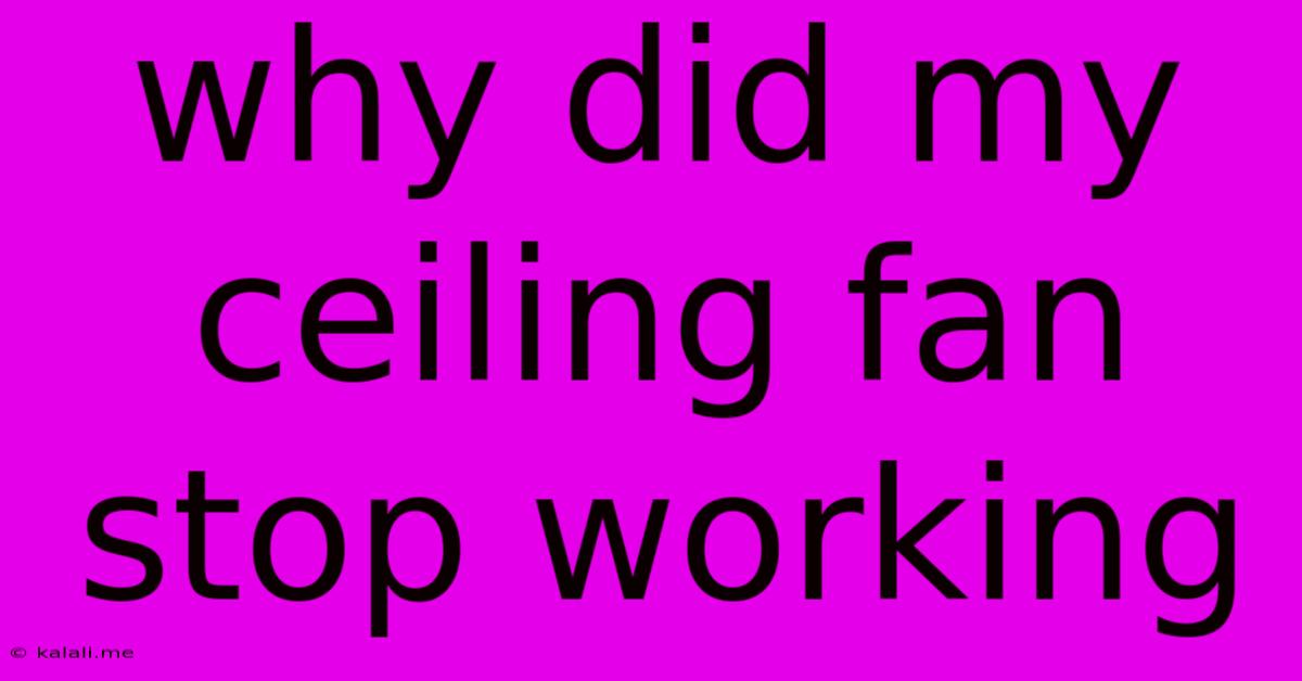 Why Did My Ceiling Fan Stop Working