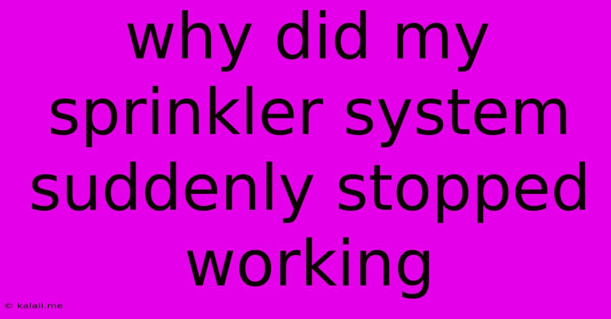 Why Did My Sprinkler System Suddenly Stopped Working