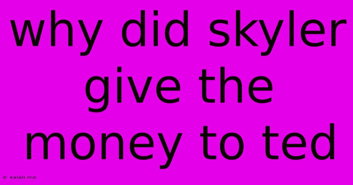 Why Did Skyler Give The Money To Ted