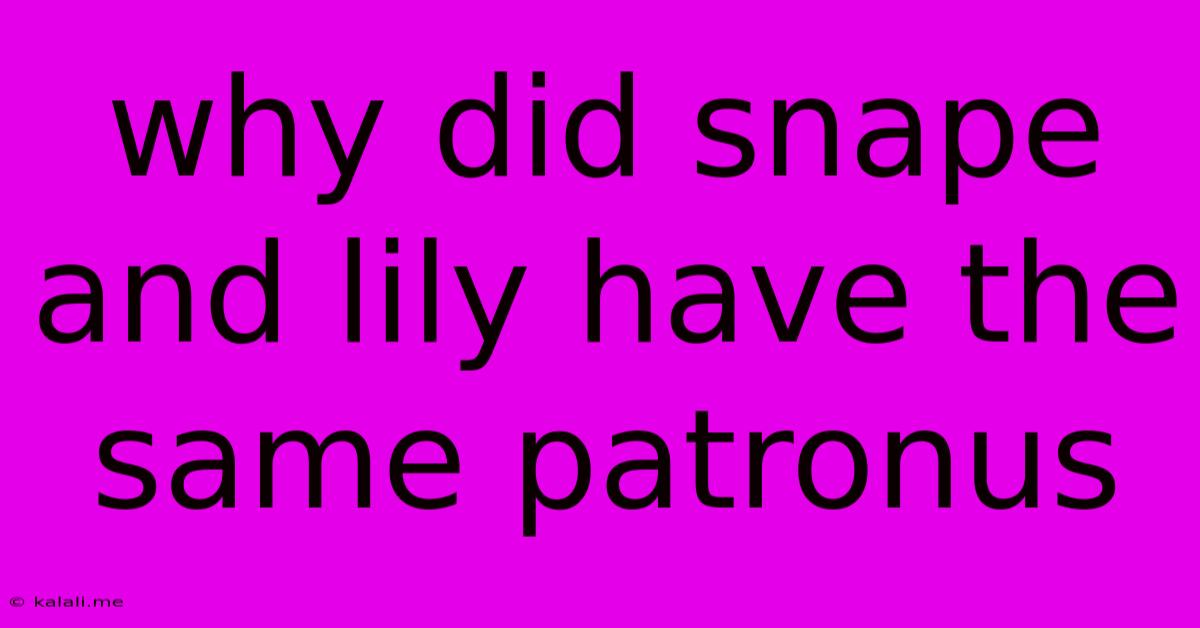 Why Did Snape And Lily Have The Same Patronus