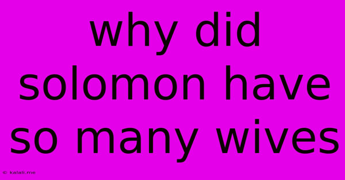Why Did Solomon Have So Many Wives