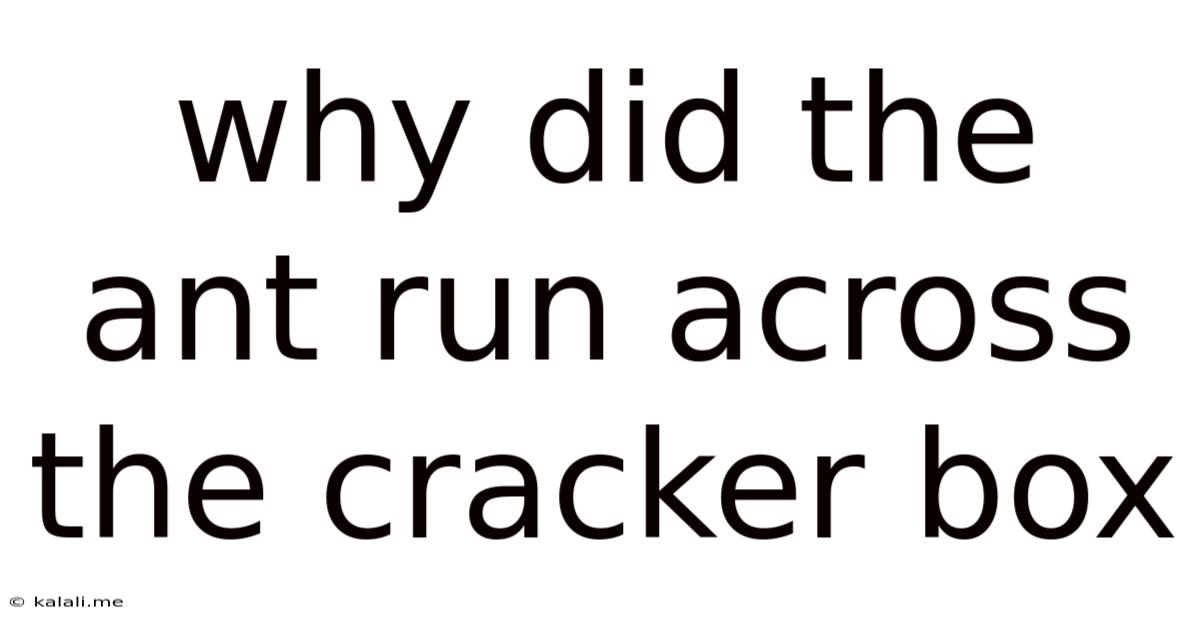 Why Did The Ant Run Across The Cracker Box