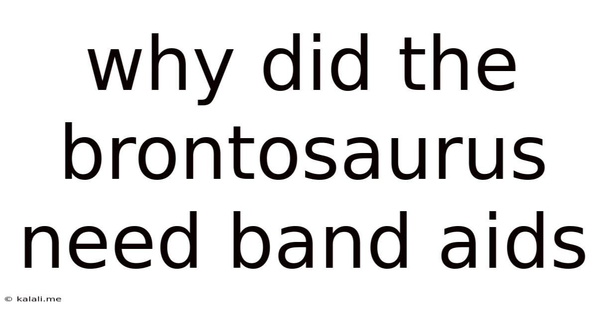 Why Did The Brontosaurus Need Band Aids