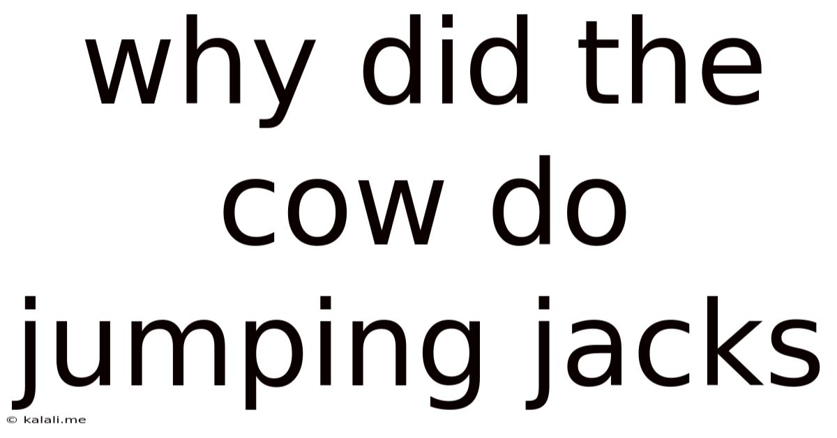 Why Did The Cow Do Jumping Jacks