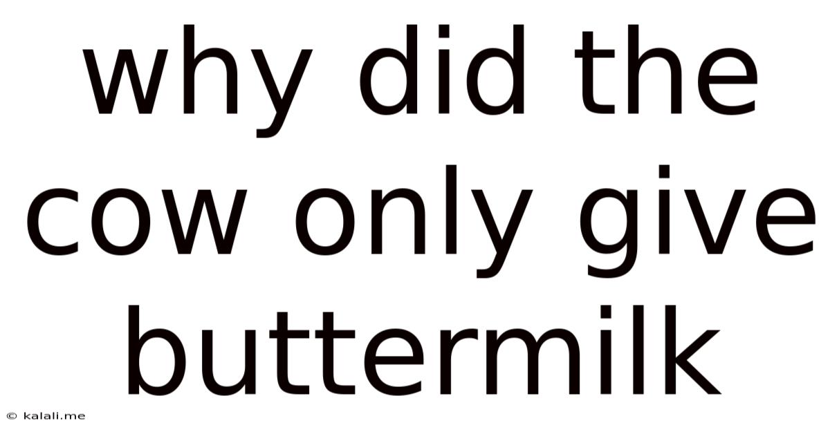 Why Did The Cow Only Give Buttermilk
