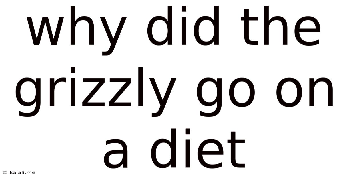 Why Did The Grizzly Go On A Diet
