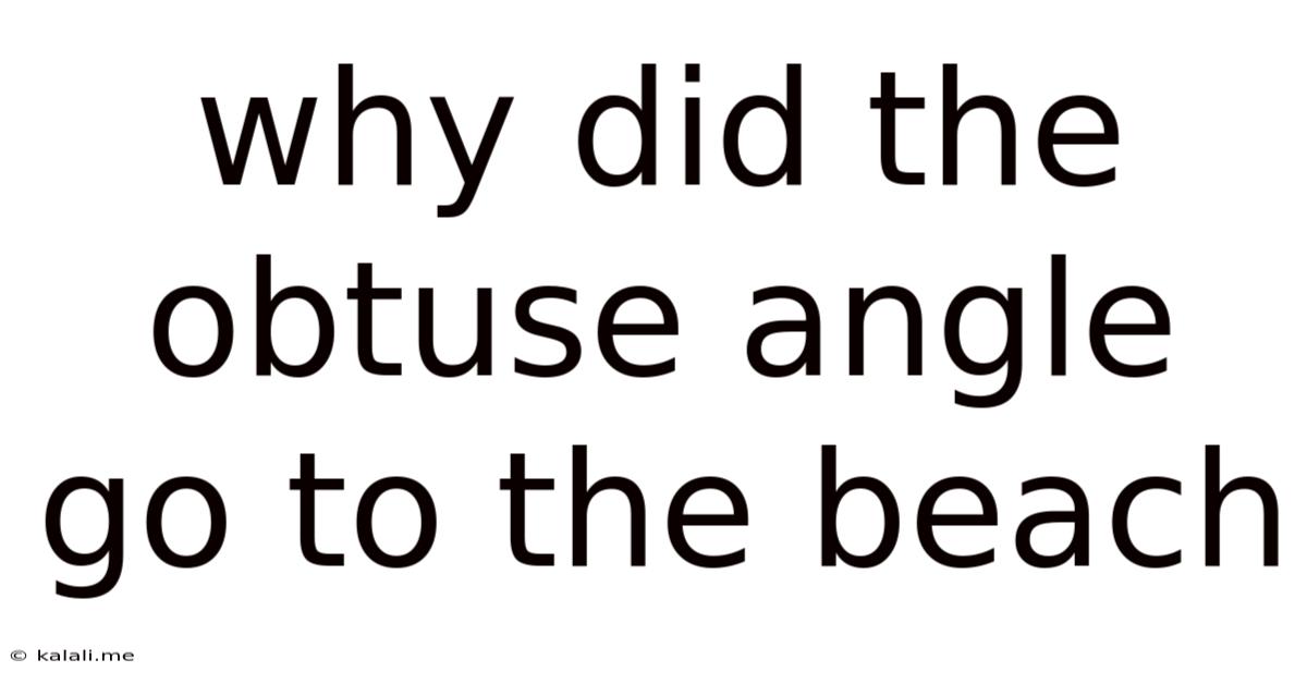 Why Did The Obtuse Angle Go To The Beach